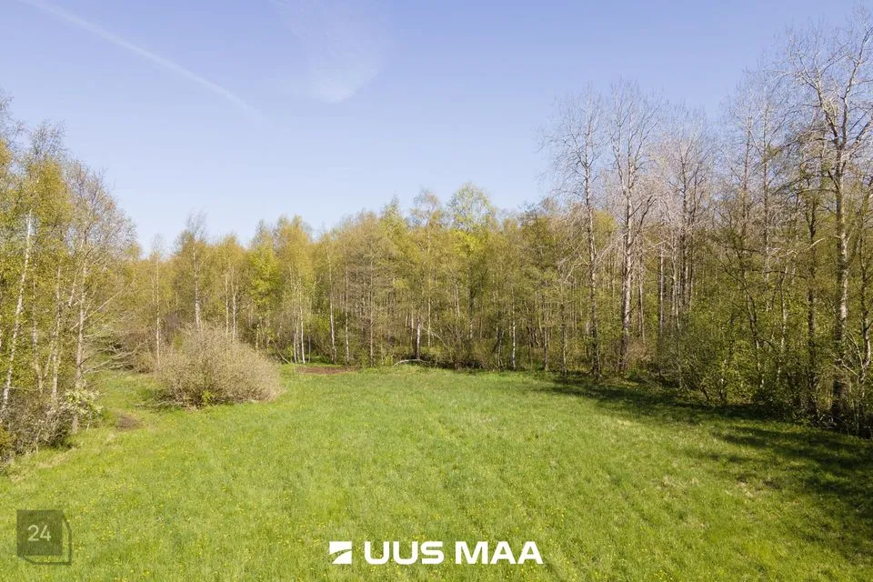 Maatulundusmaa, 4922 m² Maa - Saaremaa vald, Leisi alevik - foto 4
