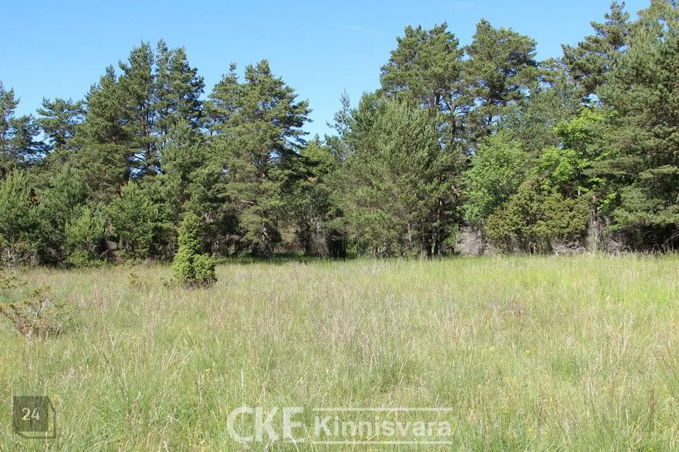 Maatulundusmaa, 15000 m² участок в Saaremaa vald, Tagamõisa küla