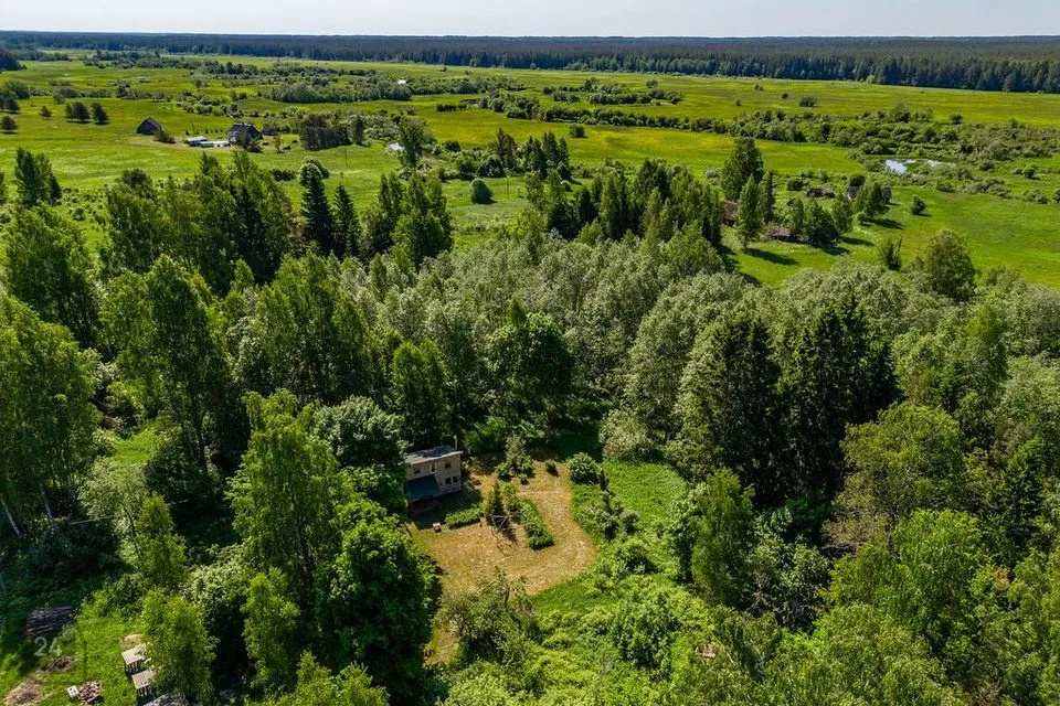 Maatulundusmaa, 43373 m² Maa - Valga vald, Kalliküla - foto 2