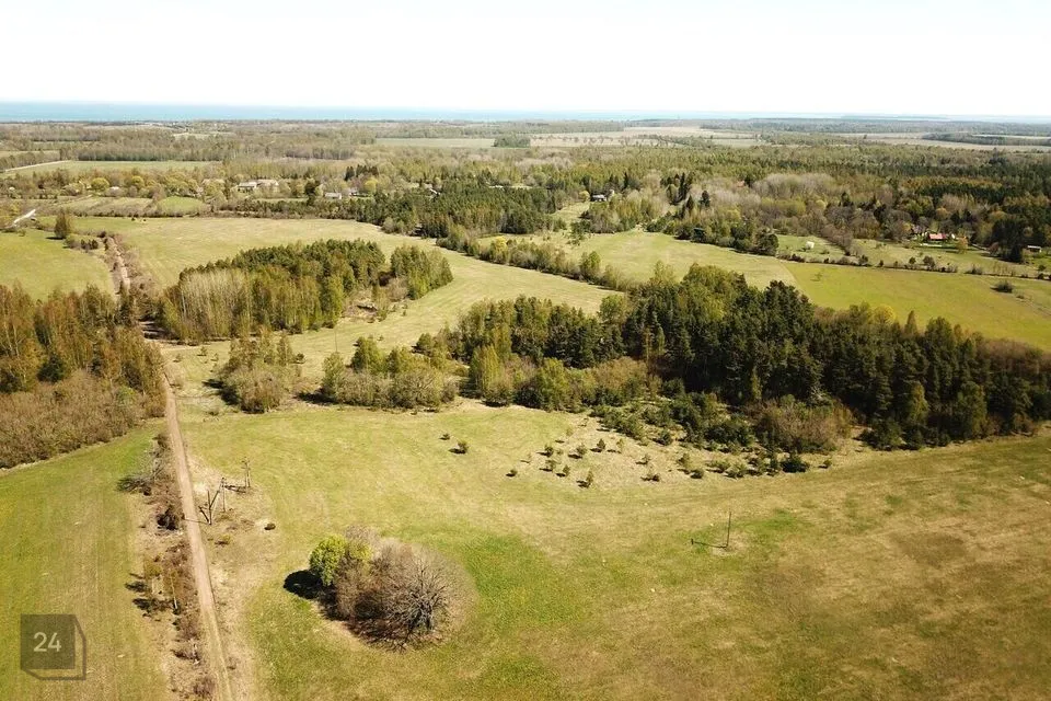 Maatulundusmaa, 17039 m² Maa  -  Muhu vald, Tupenurme küla - foto 2