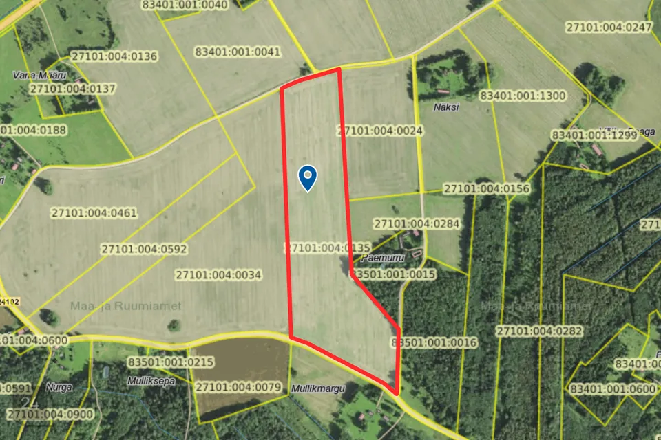 Maatulundusmaa, 133145 m² Maa  -  Türi vald, Kurla küla - foto 3