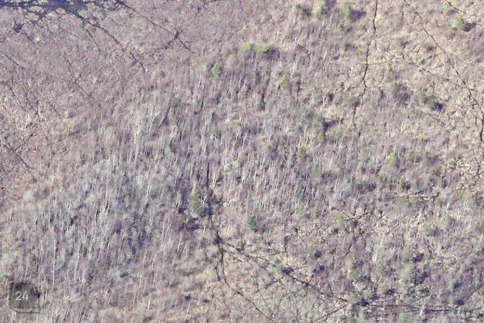 Maatulundusmaa, 46256 m² Maa  -  Lääne-Nigula vald, Höbringi küla / Höbring - foto 5