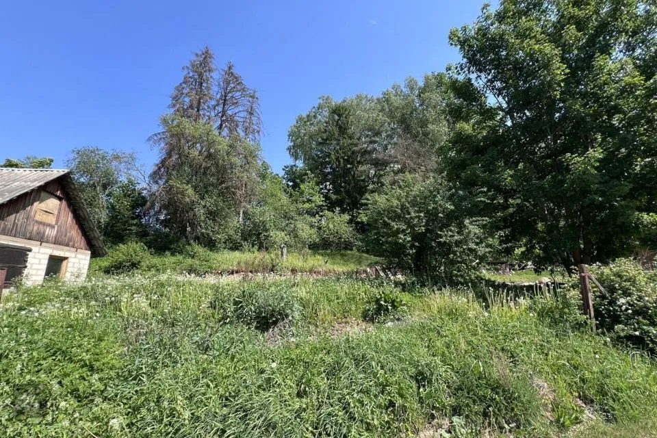 Elamumaa, 2138 m² Maa  -  Kastre vald, Päkste küla - foto 3
