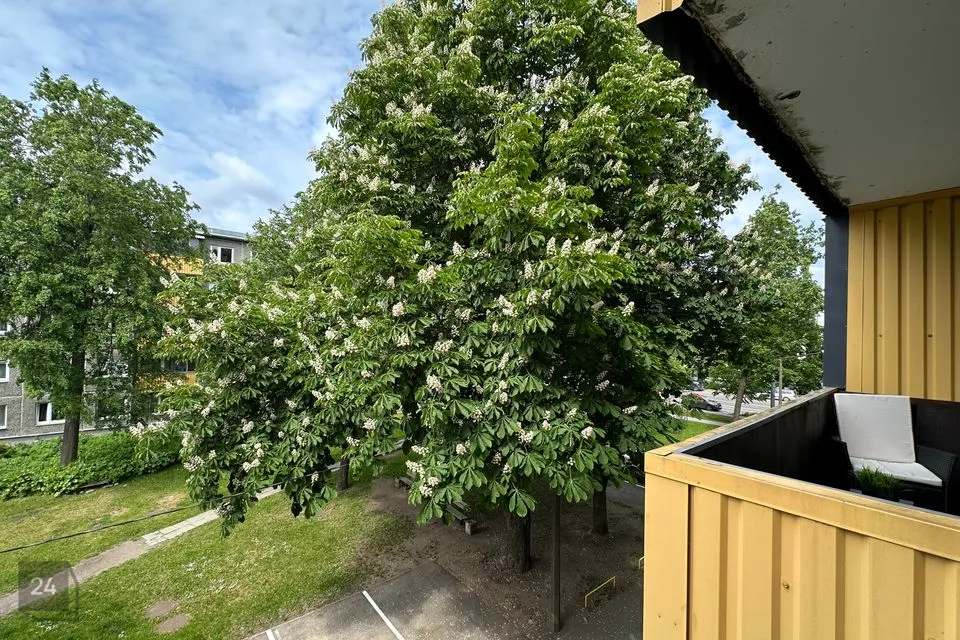 2-toaline Korter  -  Tallinn, Lasnamäe linnaosa - foto 5