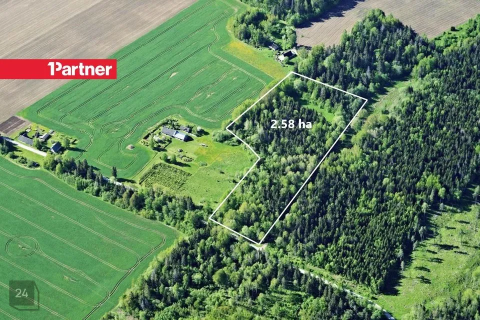Maatulundusmaa, 25839 m² Maa  -  Tapa vald, Põdrangu küla