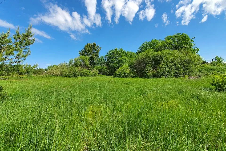 Elamumaa, 3802 m² Maa  -  Harku vald, Türisalu küla - foto 2