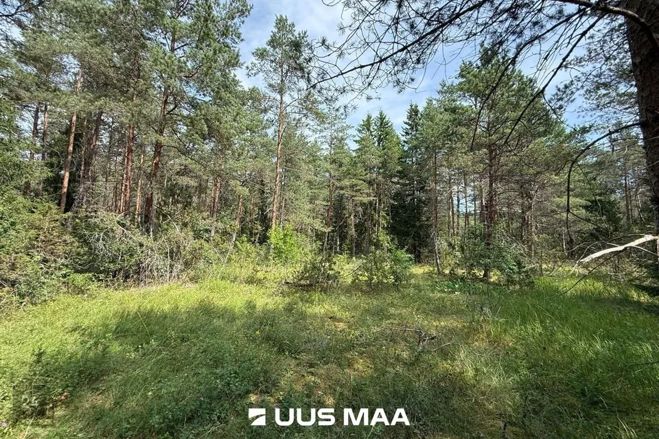 Elamumaa, 5028 m² Maa  -  Lääne-Harju vald, Nahkjala küla - foto 4