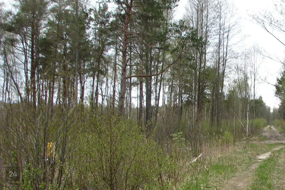 Maatulundusmaa, 29374 m² Maa - Lääne-Nigula vald, Telise küla / Tällnäs - foto 2