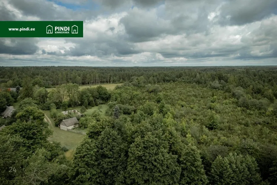 Maatulundusmaa, 139800 m² участок в Saaremaa vald, Saareküla - фото 5