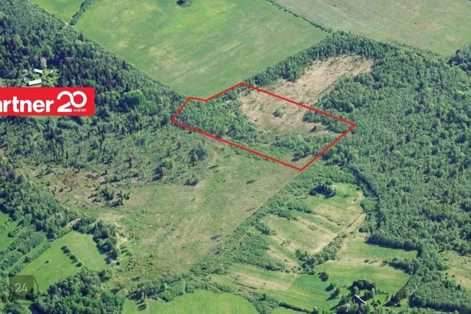 Maatulundusmaa, 35000 m² Maa - Lääne-Nigula vald, Lemmikküla