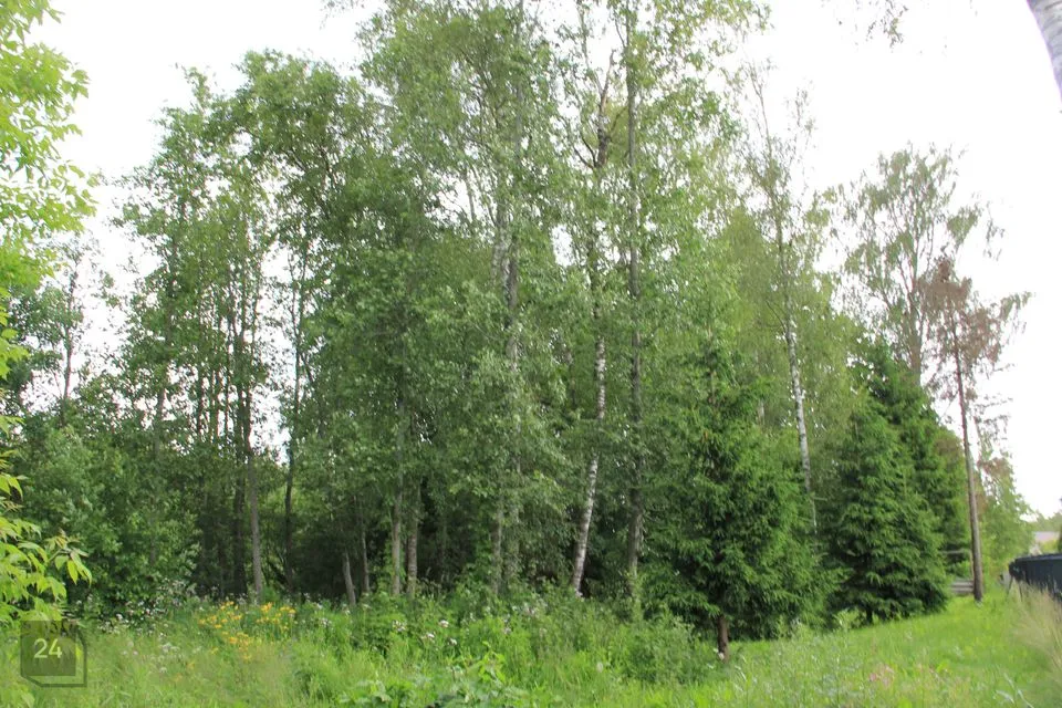 Elamumaa, 1613 m² Maa  -  Kohila vald, Urge küla - foto 4