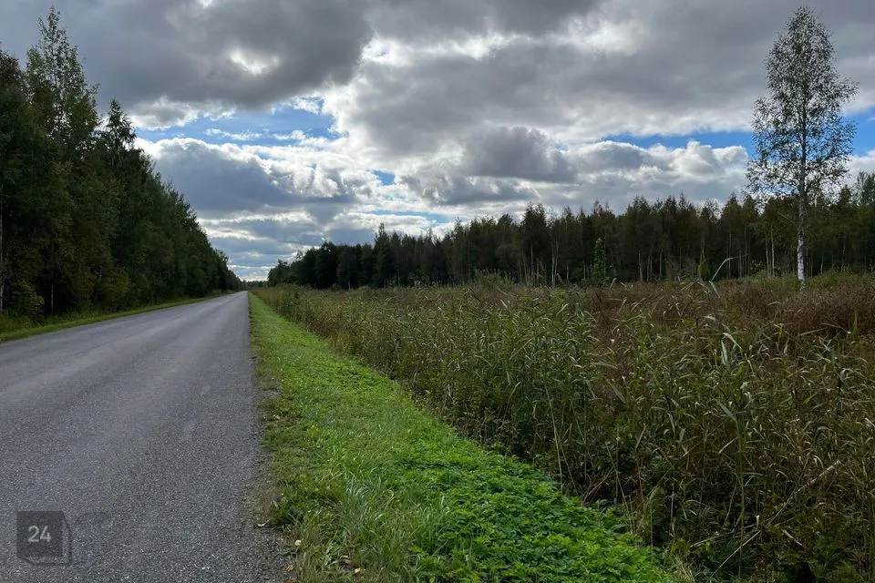 Maatulundusmaa, 10047 m² участок в Peipsiääre vald, Kasepää alevik - фото 4