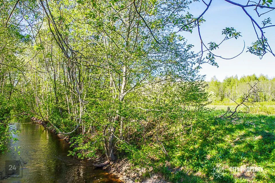 Maatulundusmaa, 18613 m² Maa - Raasiku vald, Kiviloo küla - foto 2