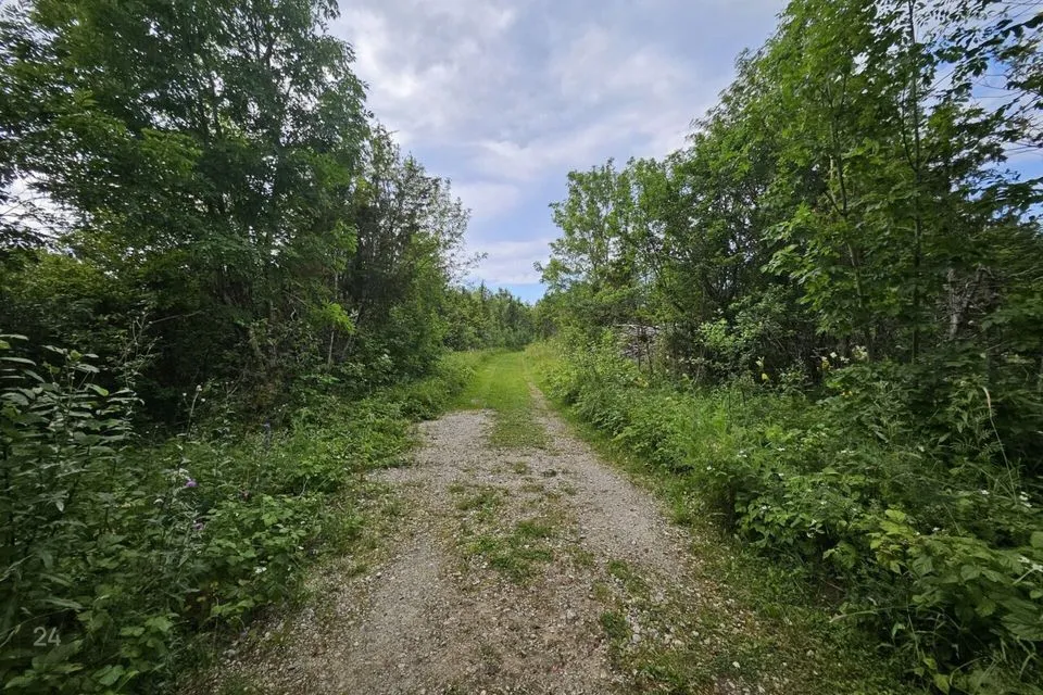 Земля жилой застройки, 8134 m² участок в Lääne-Nigula vald, Riguldi küla / Rickul - фото 3