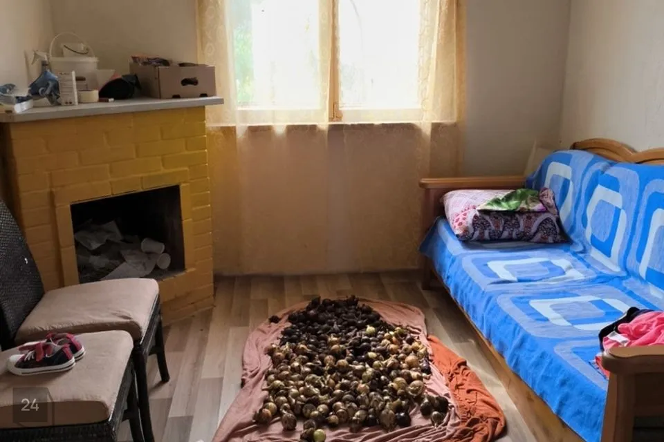 22 m² Maja  -  Jõhvi vald, Jõhvi linn - foto 4