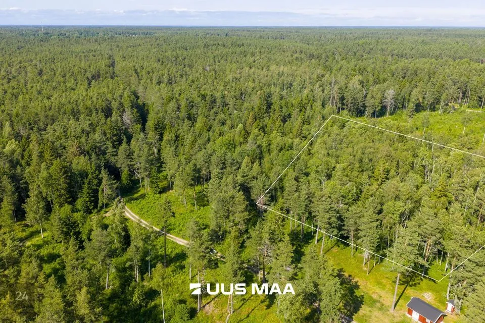 Maatulundusmaa, 5013 m² Maa  -  Lääne-Nigula vald, Elbiku küla / Ölbäck - foto 2