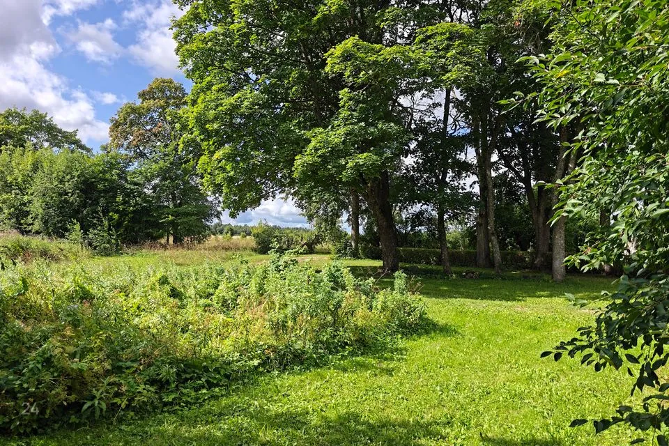 Maatulundusmaa, 30013 m² Maa  -  Kose vald, Kanavere küla - foto 2