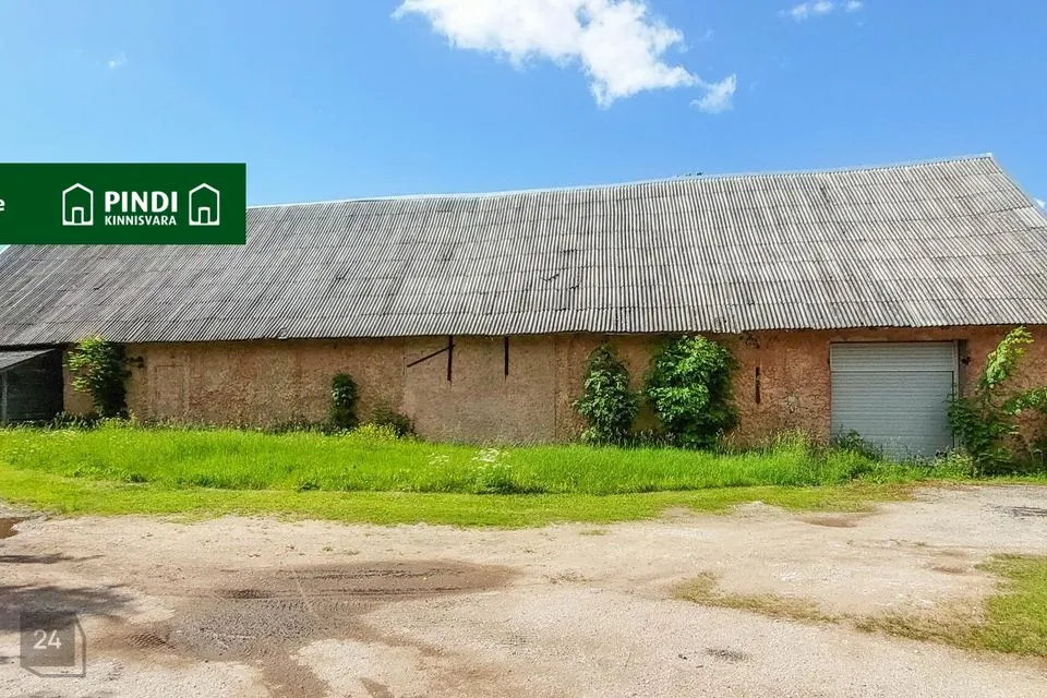 Mitme sihtotstarbega, 250 m² Äripind  -  Jõhvi vald, Tammiku alevik - foto 5