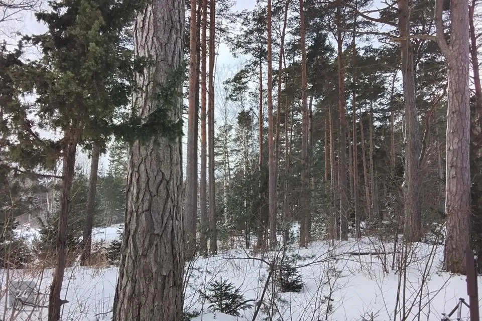 Земля жилой застройки участок в Hiiumaa vald, Kalana küla - фото 4