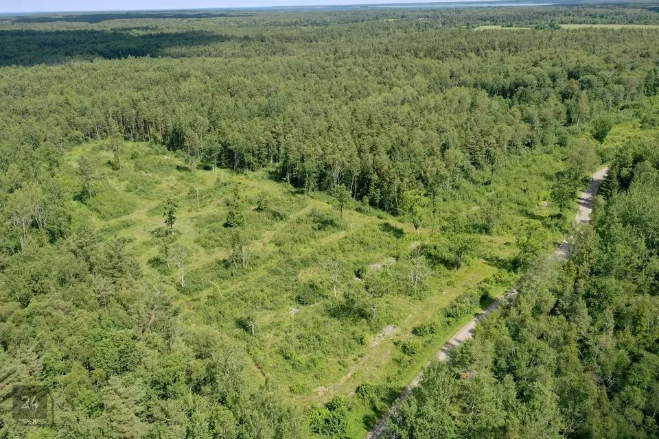 Maatulundusmaa, 69800 m² Maa  -  Saaremaa vald, Mustjala küla - foto 3