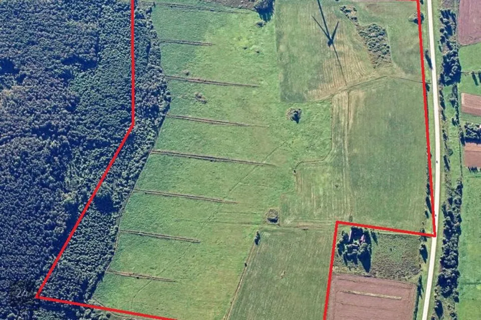 Maatulundusmaa, 628043 m² Maa  -  Viru-Nigula vald, Tüükri küla - foto 2