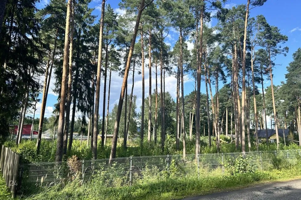 Residential land, 4950 m² land in Elva vald, Elva linn - photo 5