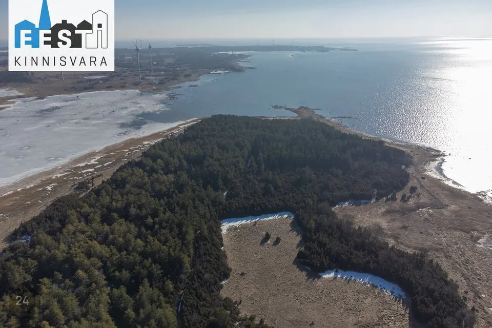 Maatulundusmaa, 370390 m² Maa  -  Lääneranna vald, Esivere küla - foto 2