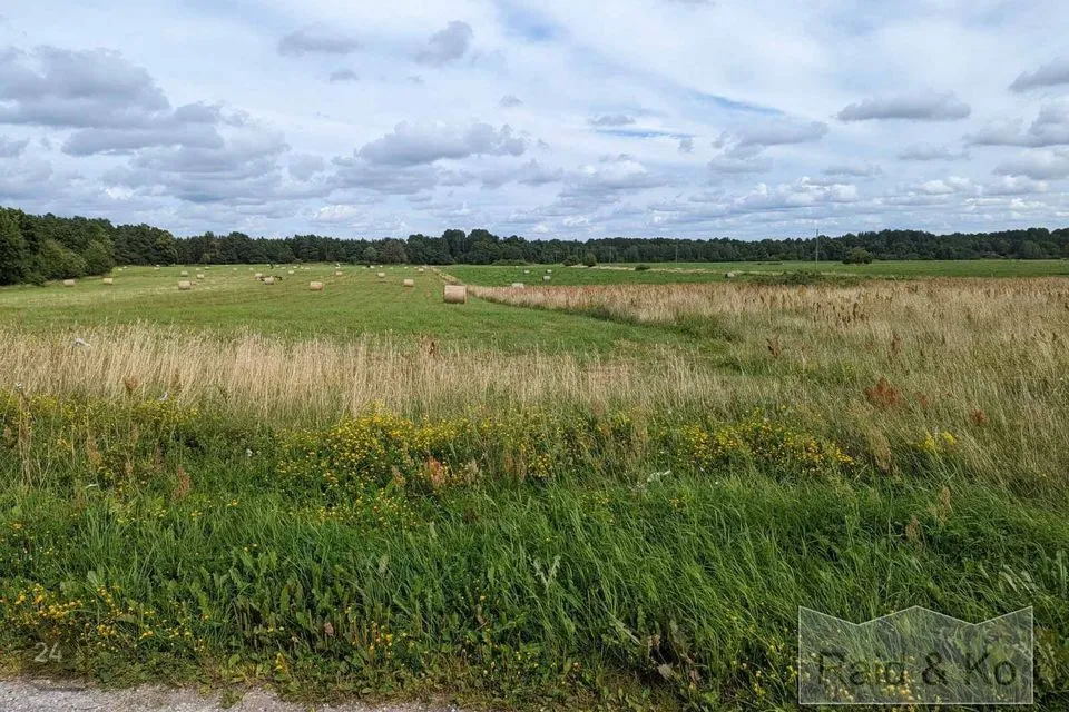 Земля жилой застройки, 5025 m² участок в Saaremaa vald, Laugu küla - фото 4