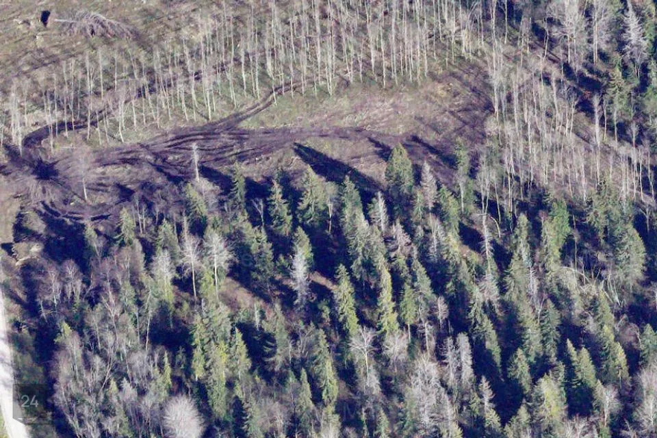 Elamumaa, 20000 m² Maa  -  Kiili vald, Paekna küla - foto 2