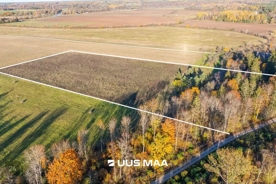 Maatulundusmaa, 24445 m² Maa - Lääne-Harju vald, Lehola küla - foto 2