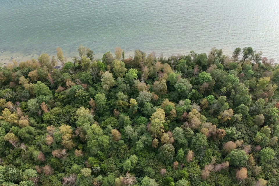 Elamumaa, 178695 m² Maa - Saaremaa vald, Mõntu küla - foto 2