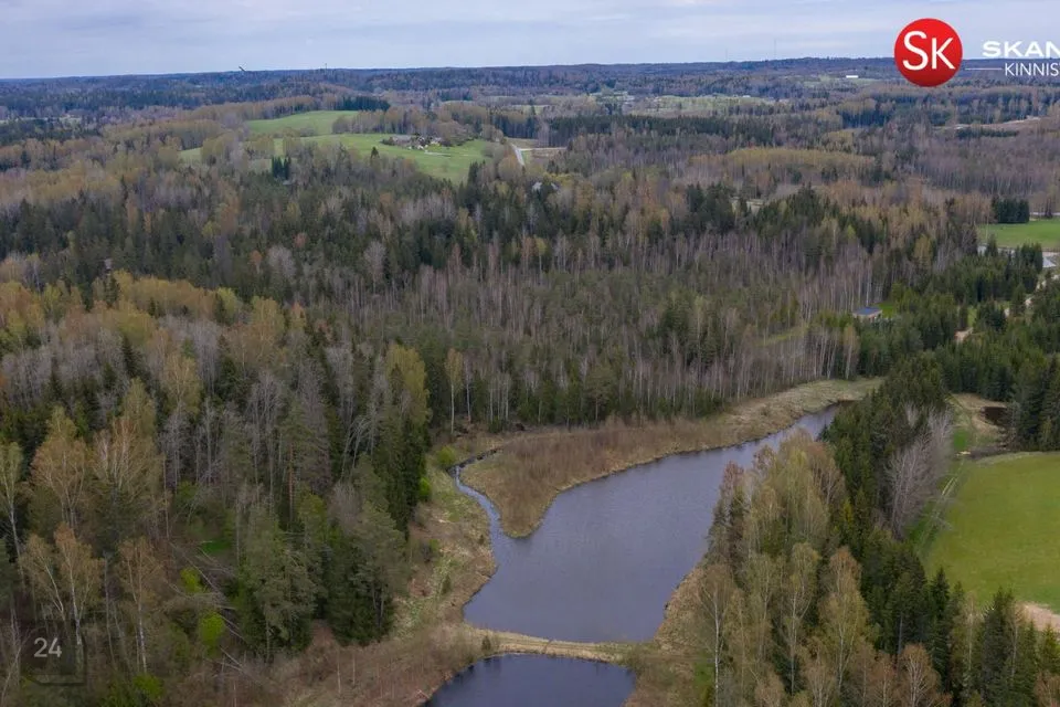 Cultivated land, 10070 m² land in Otepää vald, Nüpli küla - photo 4