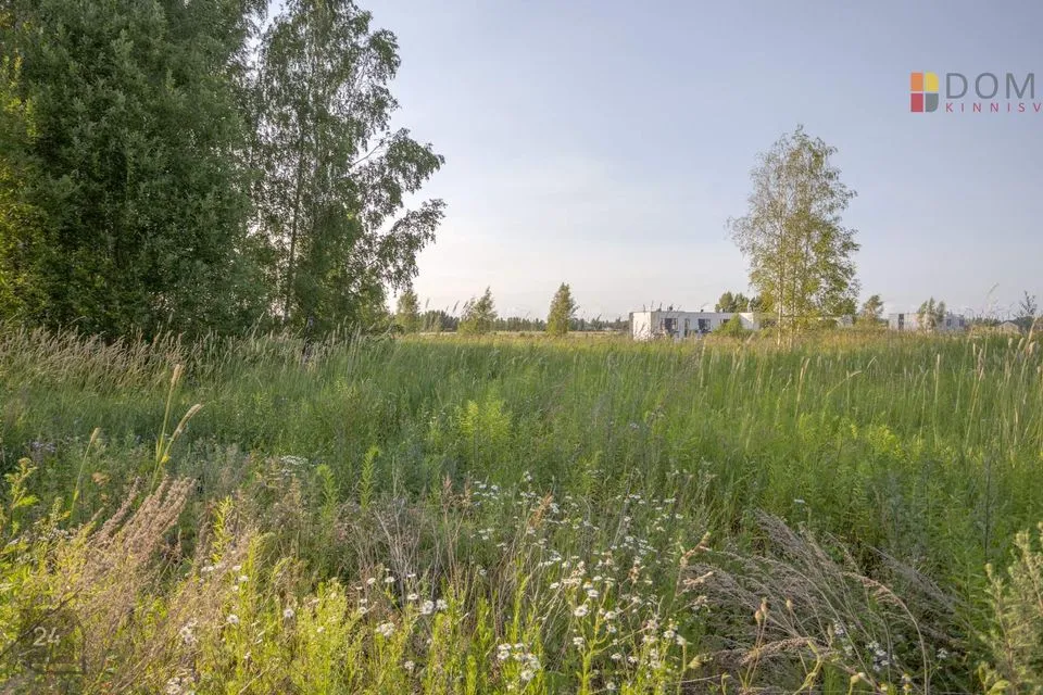 3149 m² Maa - foto 5