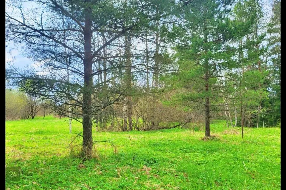 Tootmismaa, 10238 m² Maa  -  Peipsiääre vald, Vara küla - foto 4