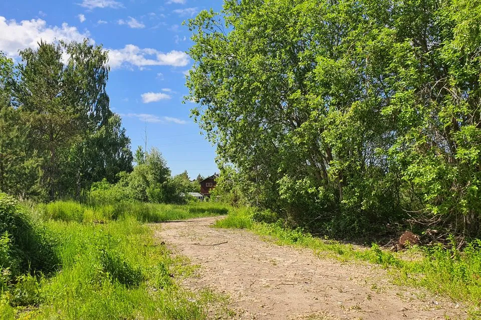 Elamumaa, 3802 m² Maa  -  Harku vald, Türisalu küla - foto 5