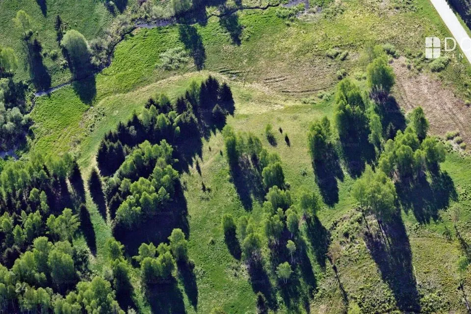 Maatulundusmaa, 46563 m² участок в Otepää vald, Pilkuse küla - фото 5