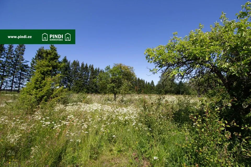 Sotsiaalmaa - ühiskondlike ehitiste maa, 13148 m² Maa  -  Lääne-Nigula vald, Pürksi küla / Birkas - foto 5