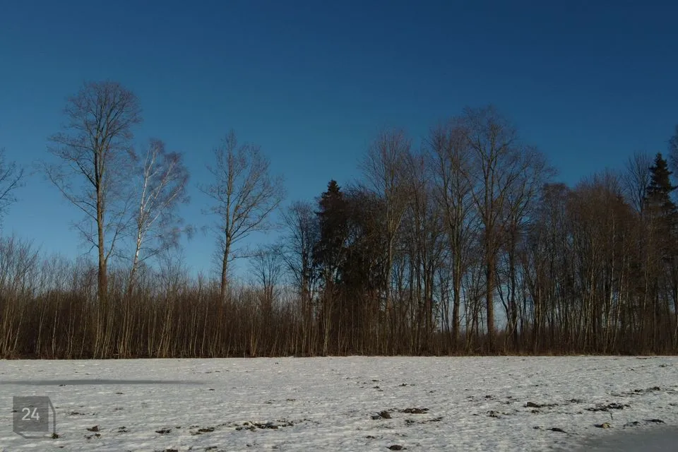 Maatulundusmaa, 11052 m² Maa  -  Tõrva vald, Möldre küla