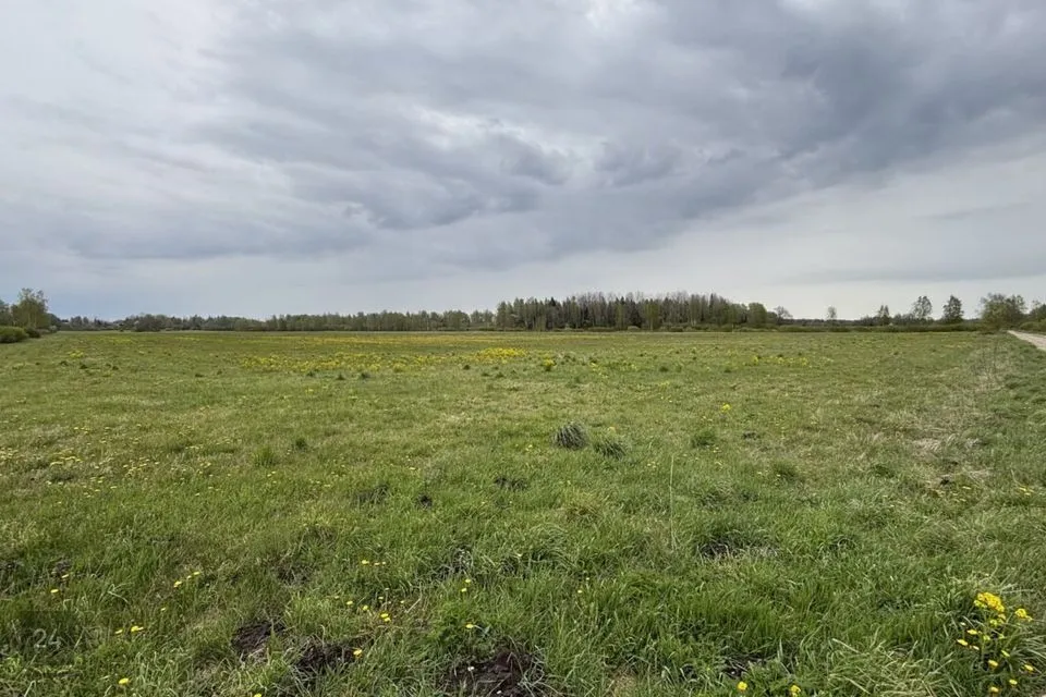 Maatulundusmaa, 115281 m² участок в Rapla vald, Lõiuse küla - фото 3