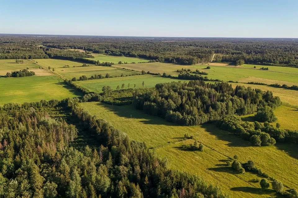 Maatulundusmaa, 286800 m² Maa  -  Raasiku vald, Mallavere küla