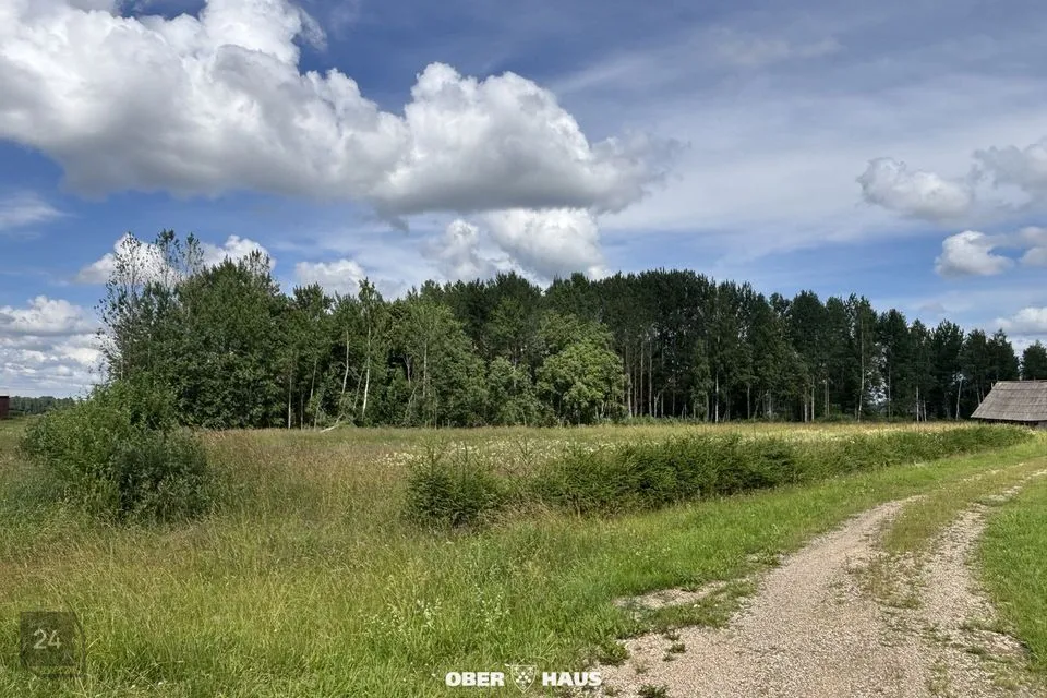 Maatulundusmaa, 32028 m² Maa  -  Põlva vald, Tännassilma küla - foto 3