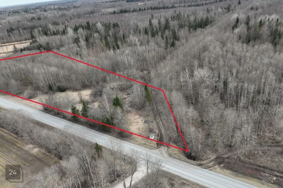 Земля жилой застройки, 5000 m² участок в Põhja-Pärnumaa vald, Viluvere küla