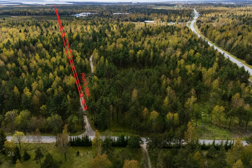 Maatulundusmaa, 20194 m² Maa  -  Saaremaa vald, Lilbi küla - foto 3