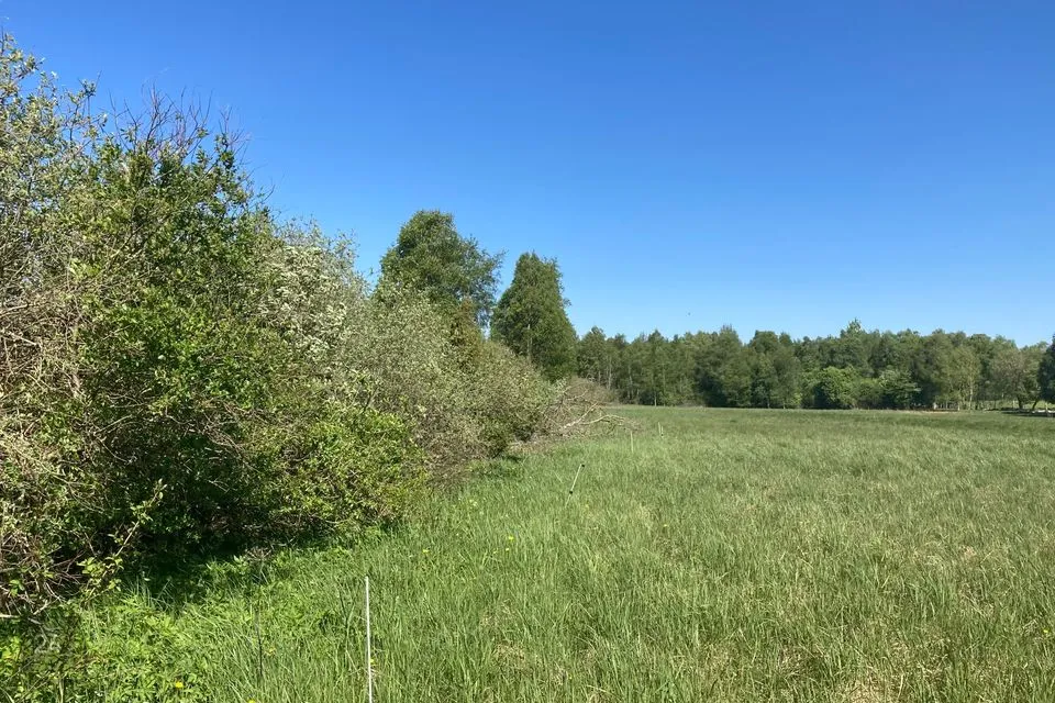 Maatulundusmaa, 10695 m² Maa - Saaremaa vald, Virita küla - foto 4