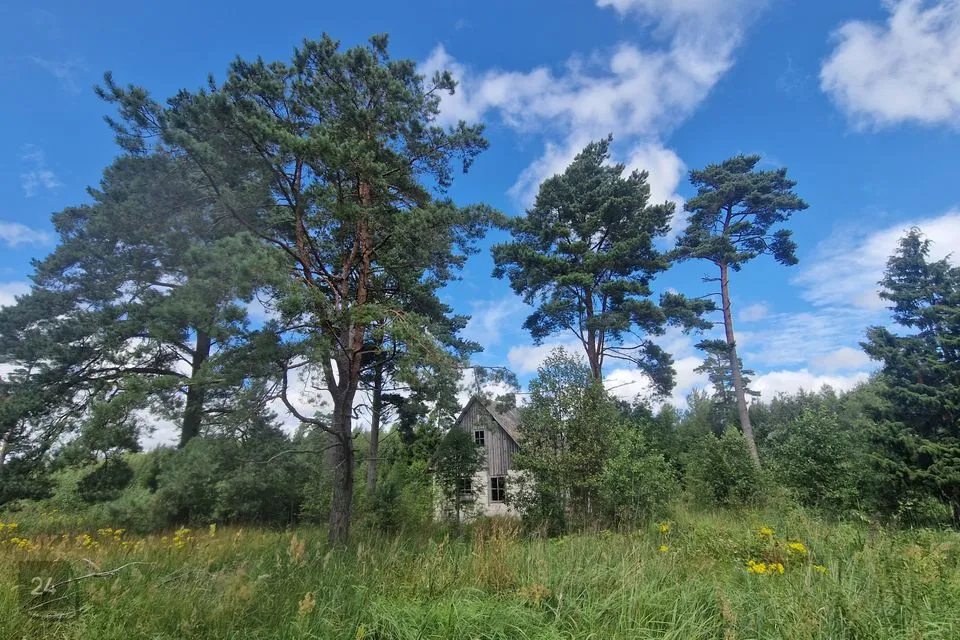 Maatulundusmaa, 40815 m² Maa - Hiiumaa vald, Prassi küla