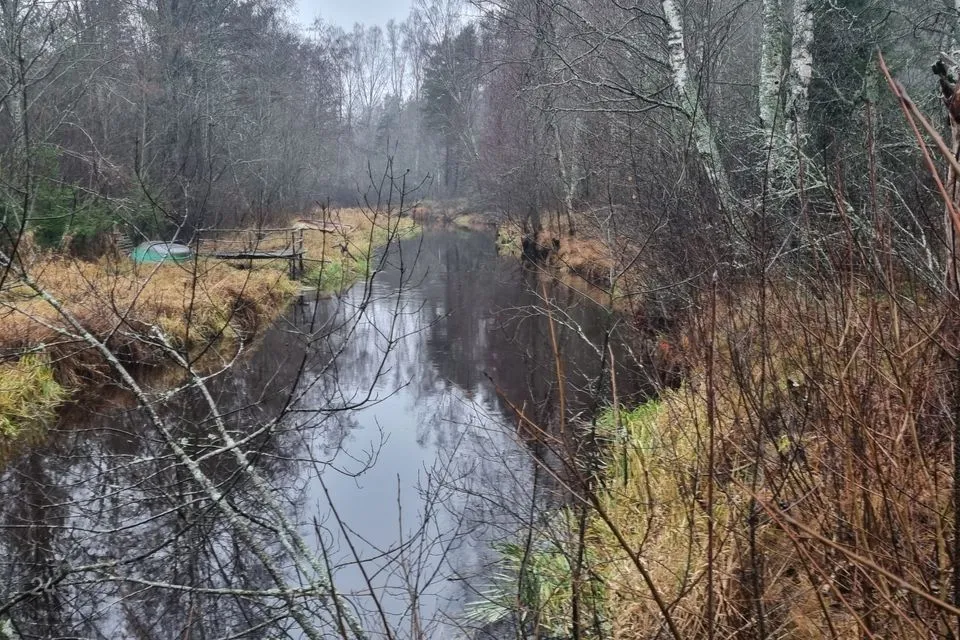 Elamumaa, 1535 m² Maa - Alutaguse vald, Alajõe küla - foto 3