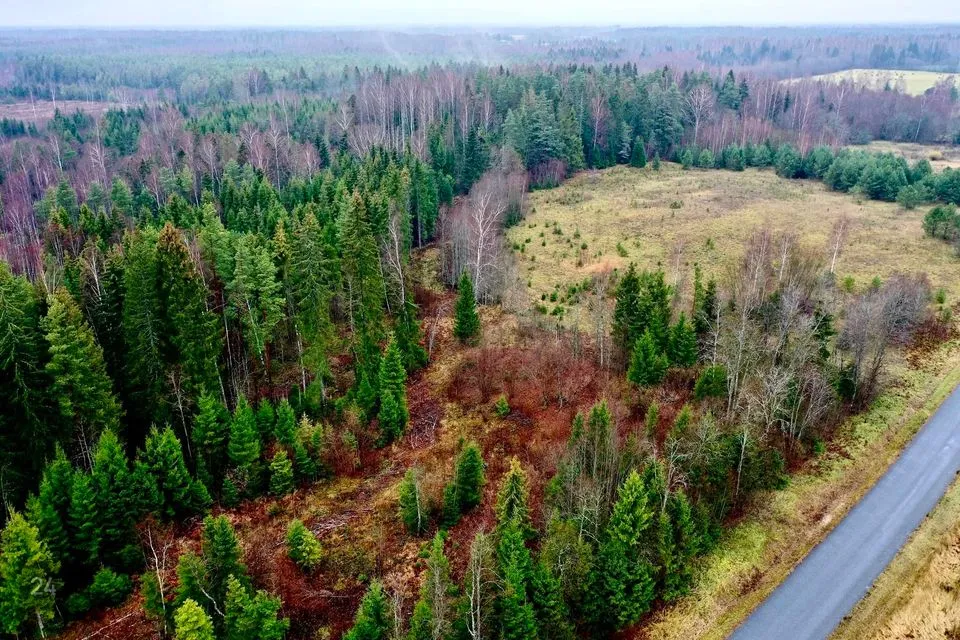 Maatulundusmaa, 21511 m² Maa - Anija vald, Voose küla - foto 2