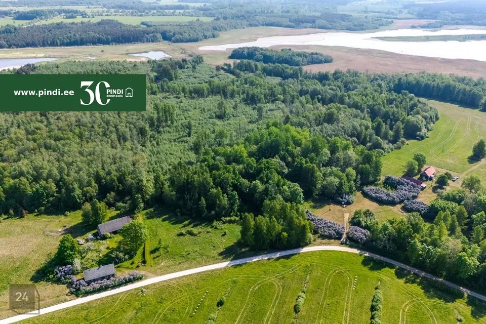 Maatulundusmaa, 136249 m² Maa  -  Lääne-Nigula vald, Kudani küla / Gutanäs - foto 2