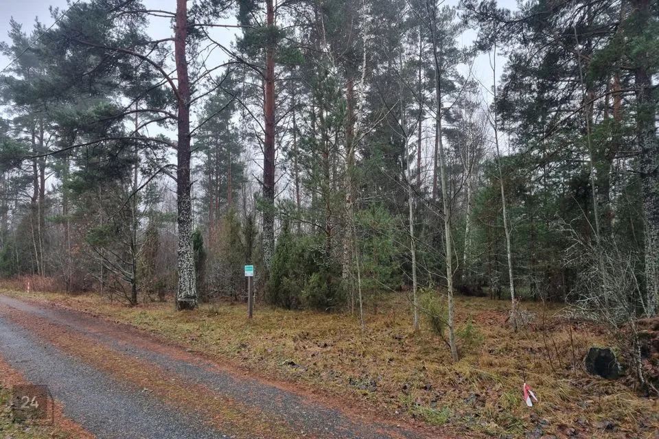 Elamumaa, 1535 m² Maa - Alutaguse vald, Alajõe küla