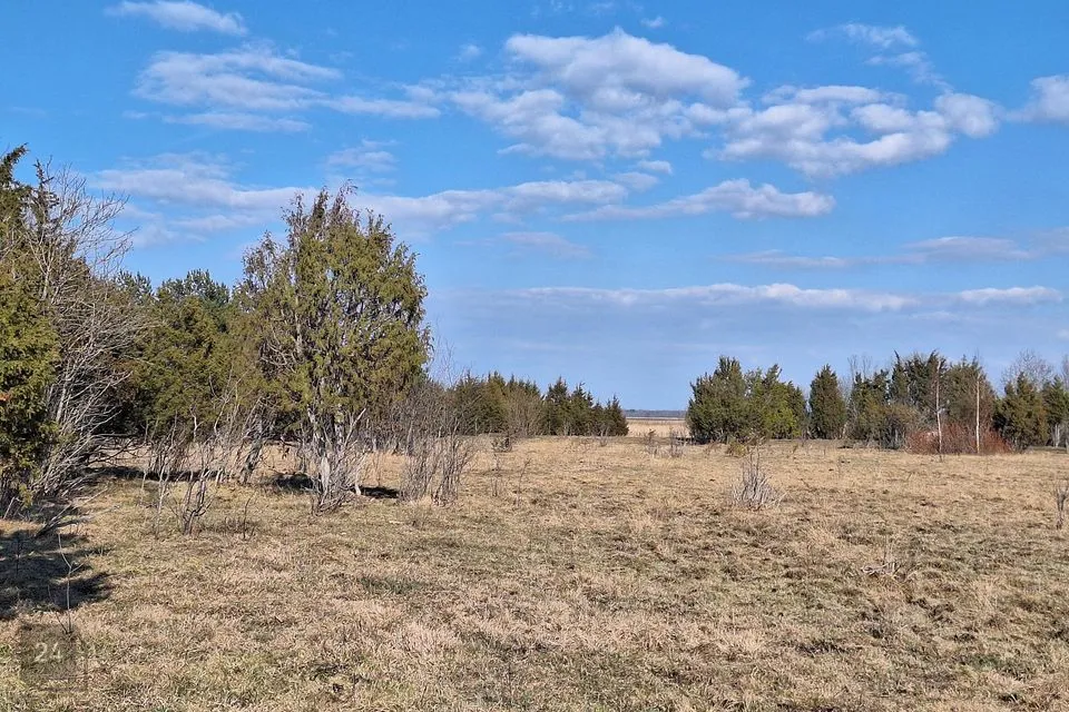 Maatulundusmaa, 166630 m² Maa  -  Lääne-Harju vald, Kurkse küla - foto 4